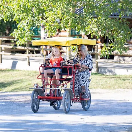 Accueillant, Animaux Ok - 12 Pers. - Api-1-52-2263 Camping Dienné
